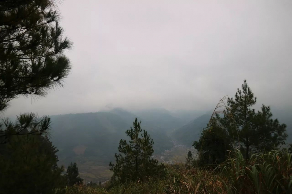 从山上眺望山间河谷