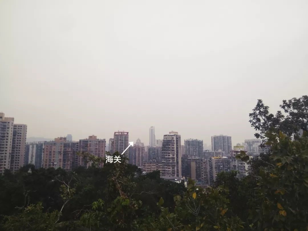 望厦山北侧远眺