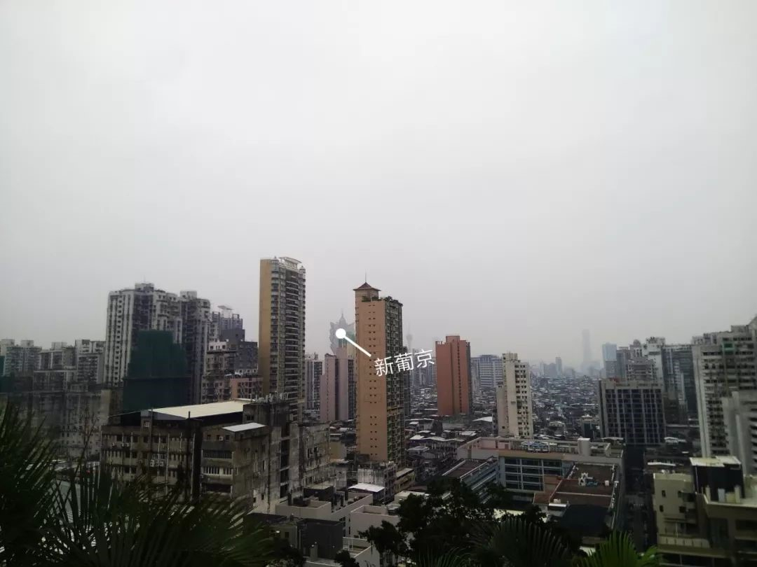 望厦山南侧远眺