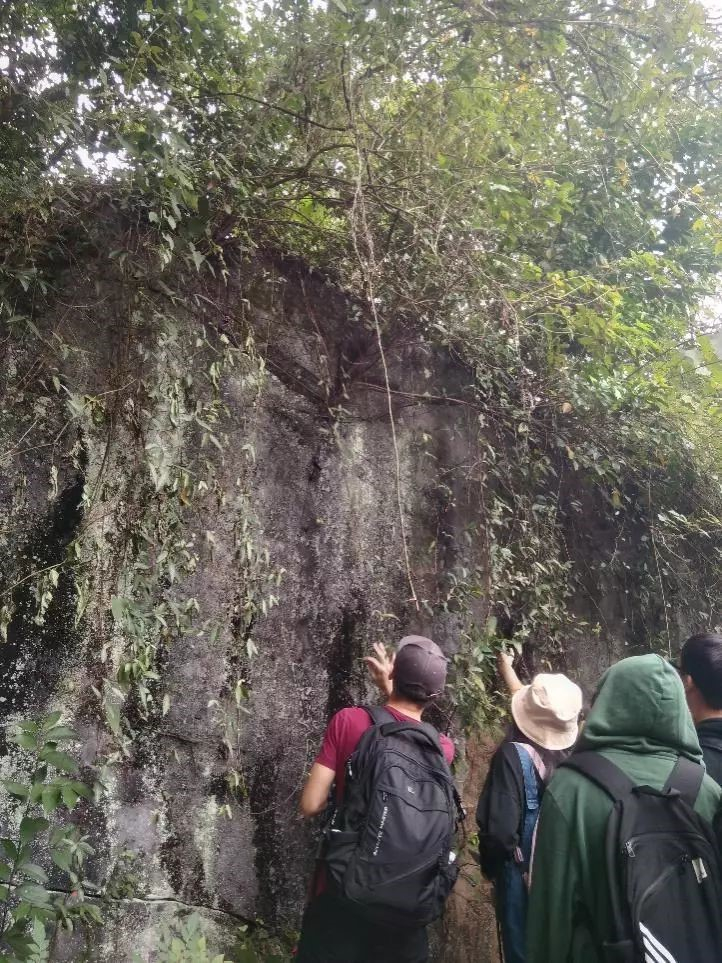 同学们认真解读碑文