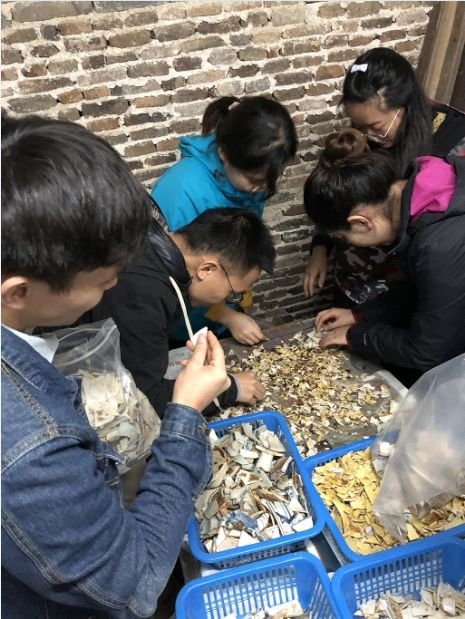 将瓷片进行分类整理