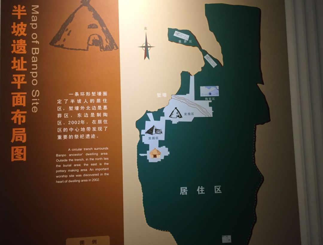 半坡遗址平面分布图