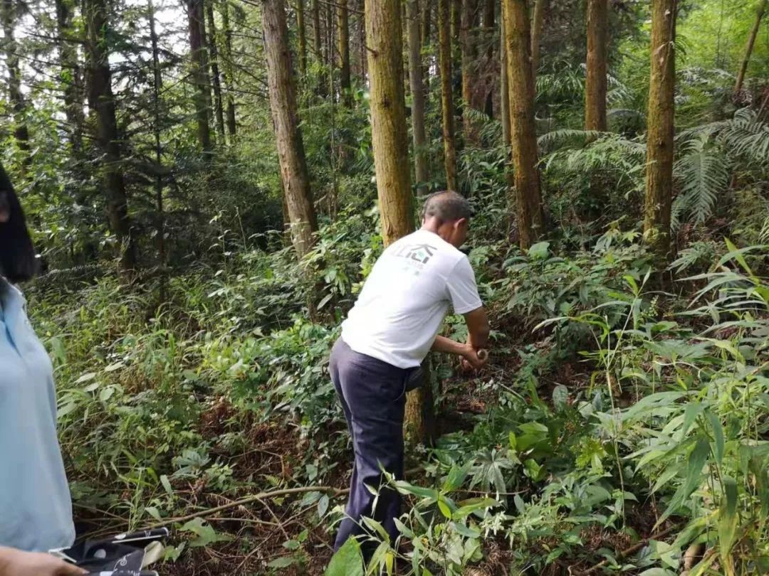 黎大伯开辟山路