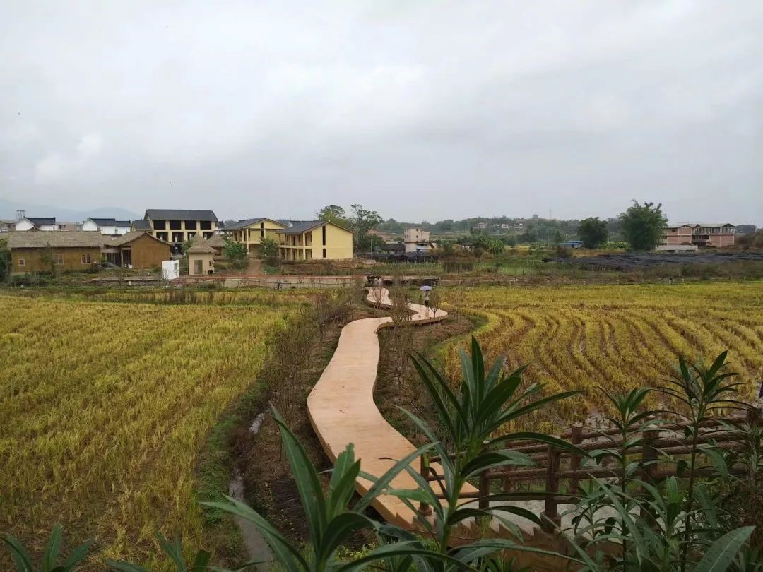 美丽的新农村——灵潭村