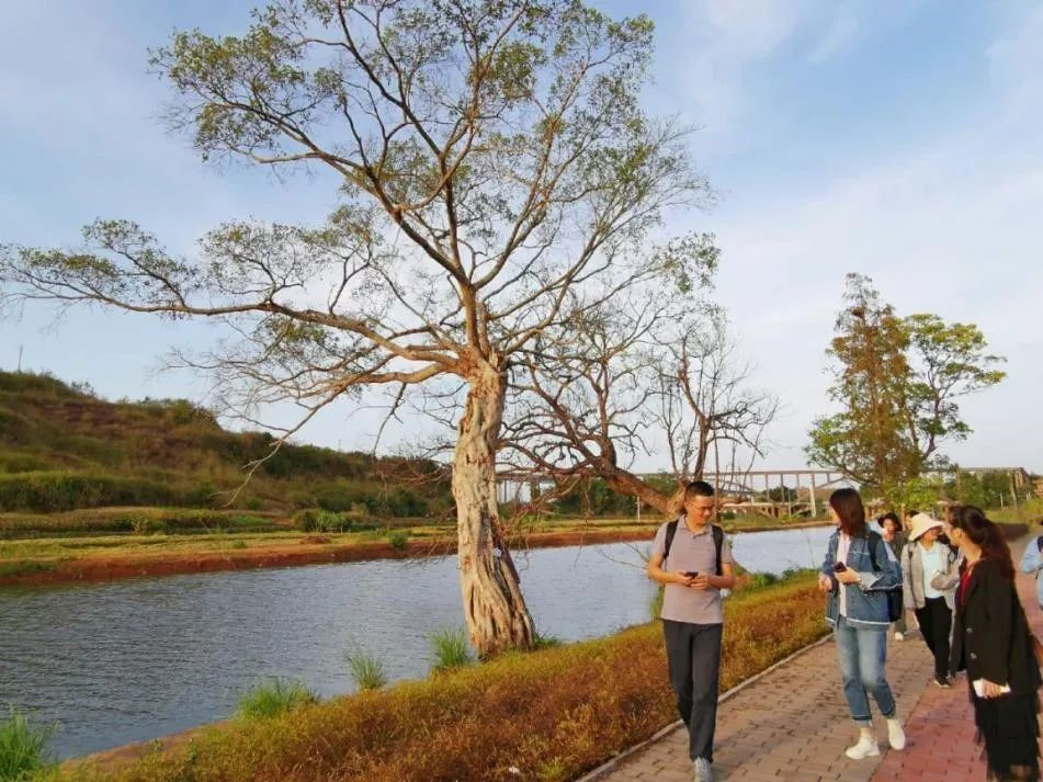 师生在滨河休闲绿道上漫步