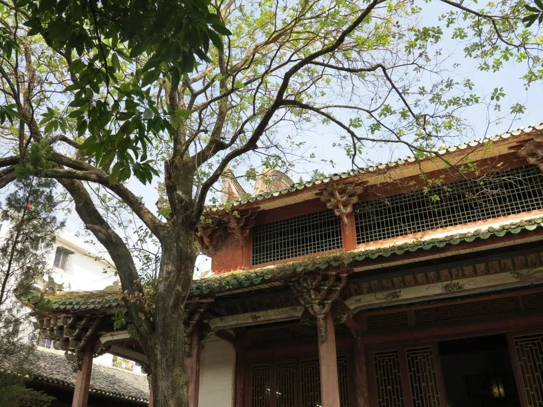 始兴中学大成殿的一角